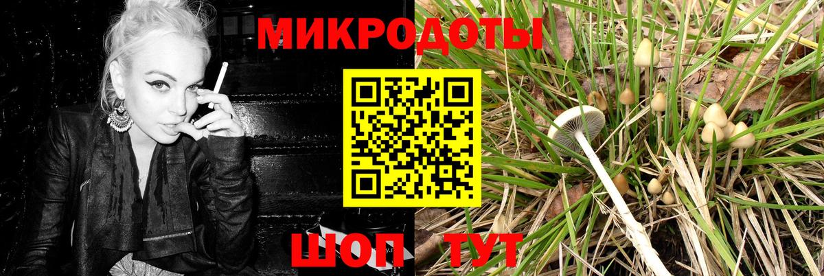 Россошь  Галлюциногенные грибы Cubensis  Вход с VPN  Галлюциногенные грибы Psilocybe 